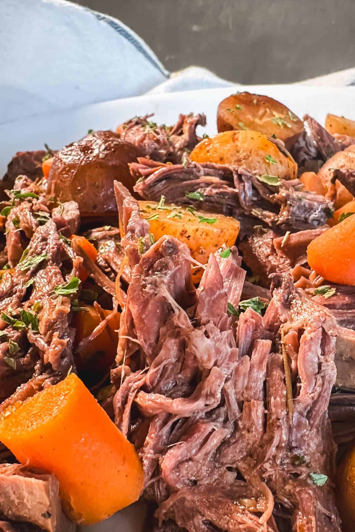 Shredded venison pot roast served with carrots and potatoes, showing tender texture and rich, savory flavor.