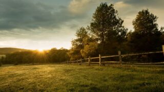 150 Homesteading Skills For The Modern Homesteader | The Rustic Elk