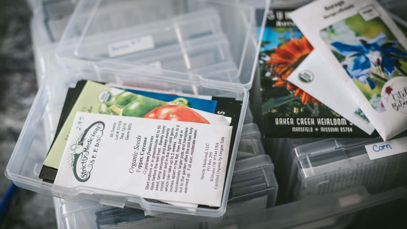 Seed organizer on a table full of vegetable garden seeds