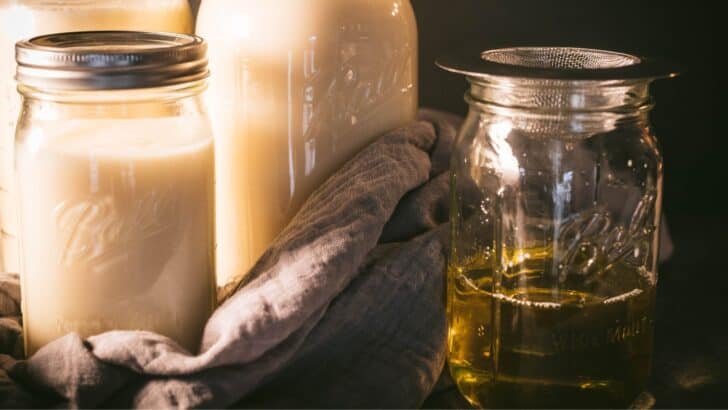 Three jars of solid beef tallow and a partial jar of freshly rendered tallow that is still liquid