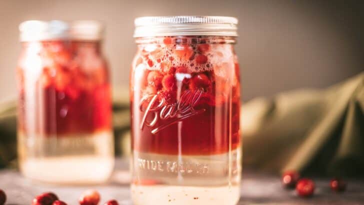 Cranberry juice for canning that has been processed but needs to sit for a few weeks before it's ready to strain.