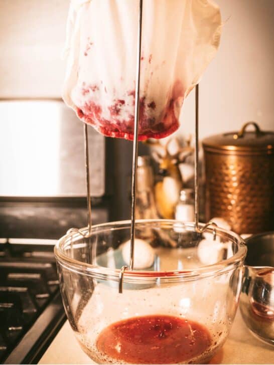 Extracting juice from blackberries in a jelly bag.