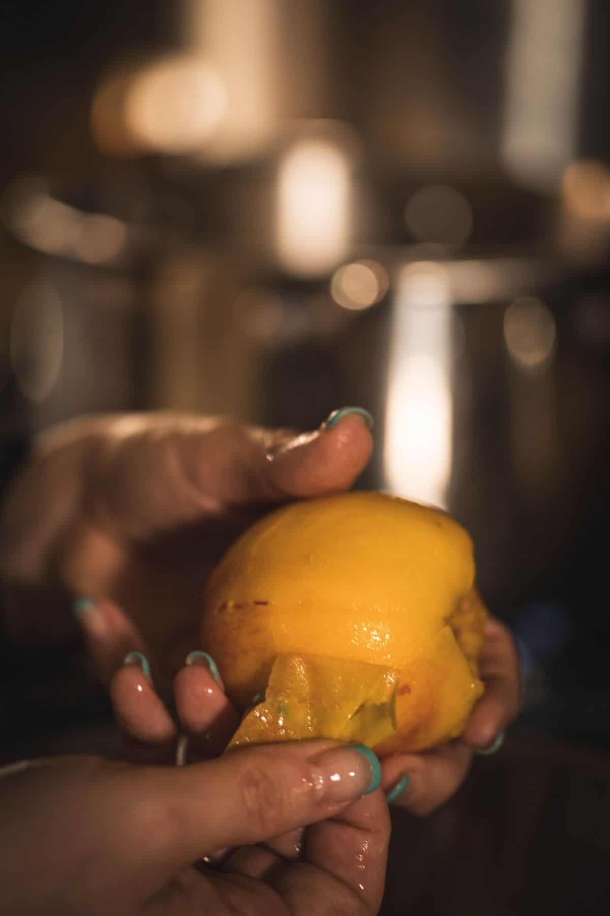 Peeling the skin from a blanched peach before slicing and canning.