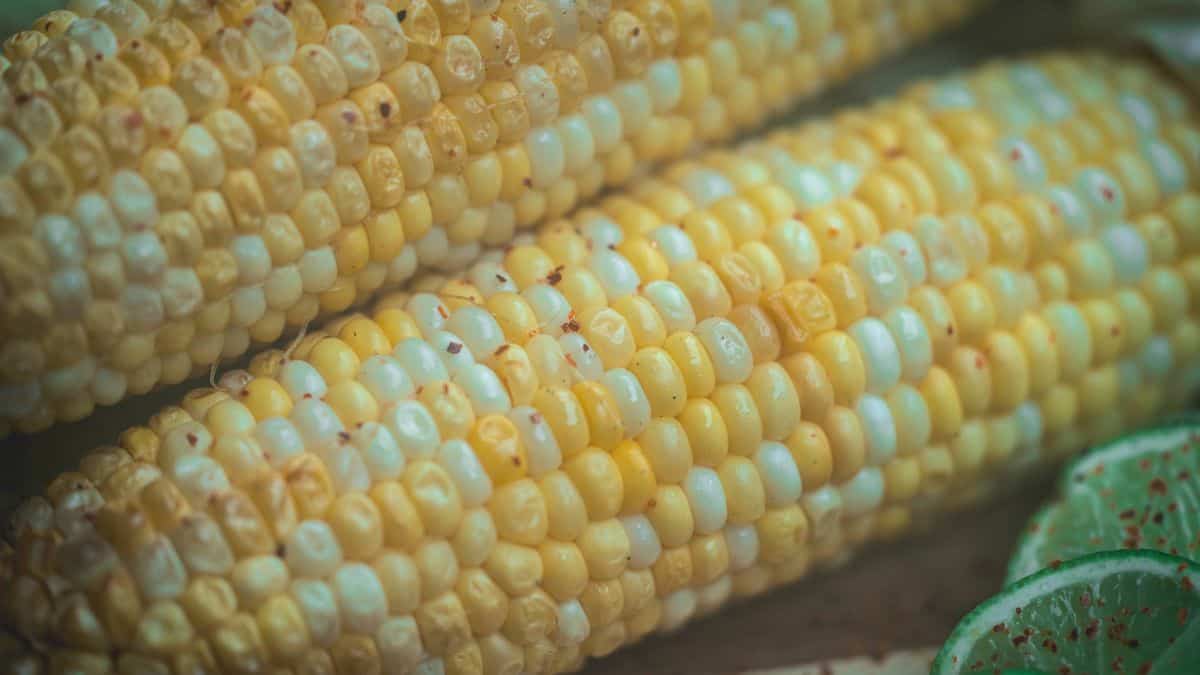 Close-up of juicy smoked corn on the cob brushed with chili lime butter, with lime slices and red pepper flakes alongside.