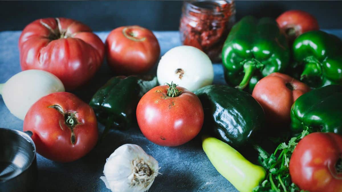 Fresh ingredients for homemade salsa including tomatoes, onions, garlic, bell peppers, jalapeños, and herbs on a dark countertop