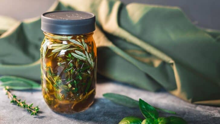 A jar of four thieves vinegar steeping with fresh herbs.