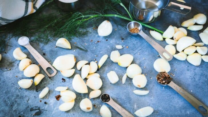 Ingredients to make pickled garlic sitting on a counter.