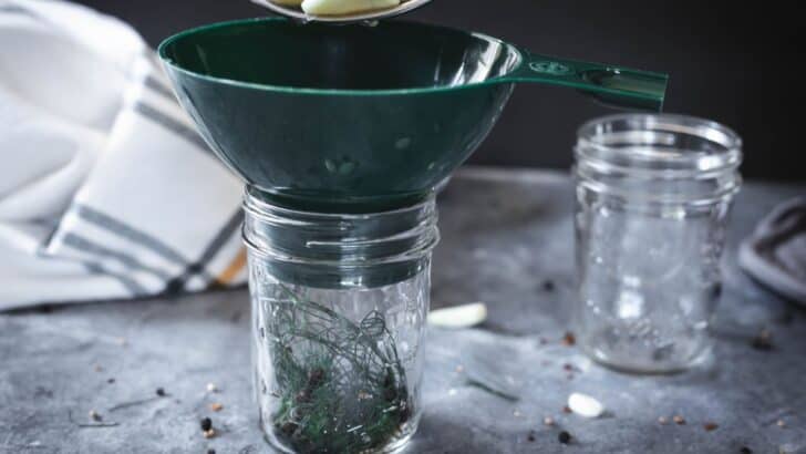 Putting garlic in a jar to make pickles