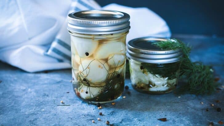 Jars of pickled garlic on a counter
