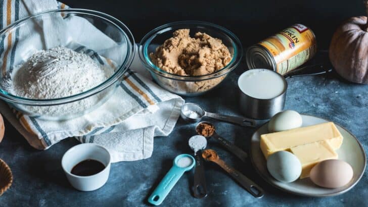 Ingredients for pumpkin spice cupcakes laid out on a counter.