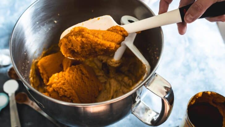 Adding pumpkin puree to cupcake batter.