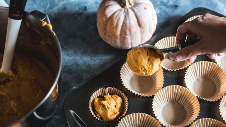 Filling cupcake liners with pumpkin spice cupcake batter