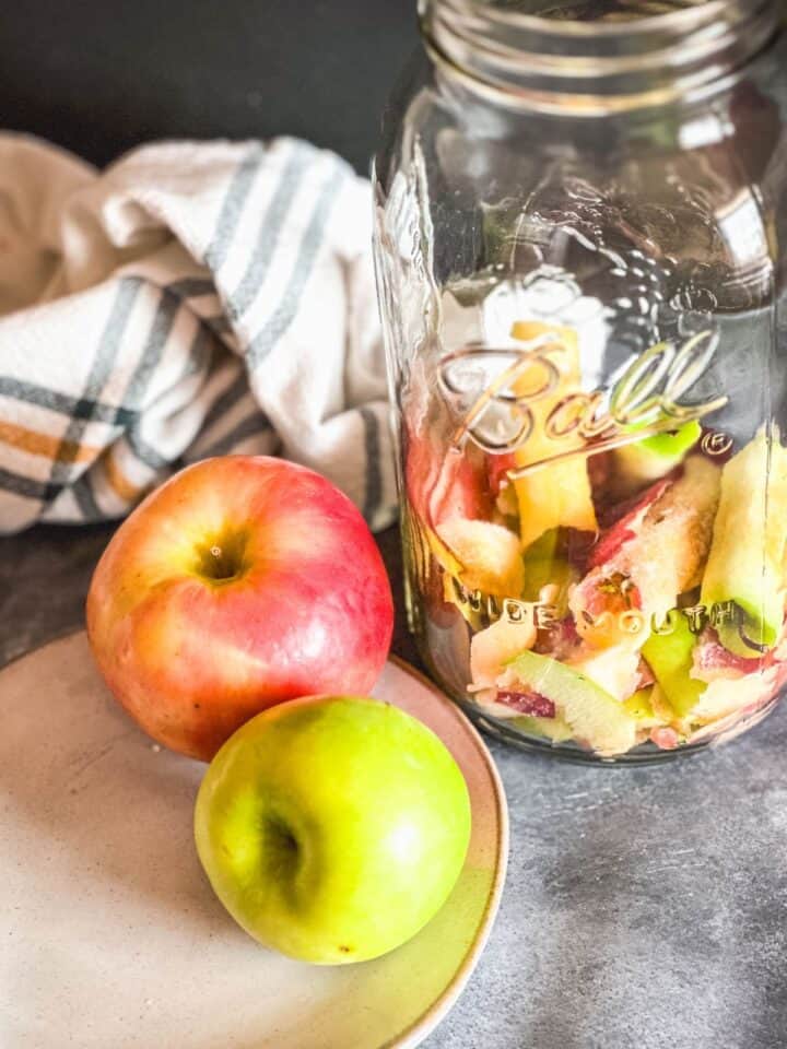 How To Make Apple Cider Vinegar From Scraps | The Rustic Elk