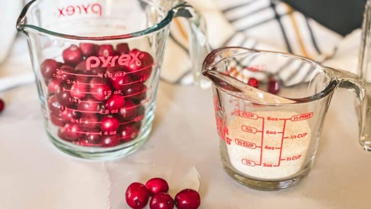 A measuring cup of fresh cranberries and another of sugar to make cranberry juice.