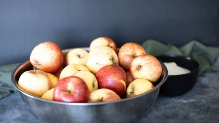 Bowl of fresh apples to be prepared for canning