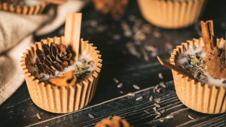 Rustic Starters How To Make Natural DIY Wax Fire Starters | The Rustic Elk