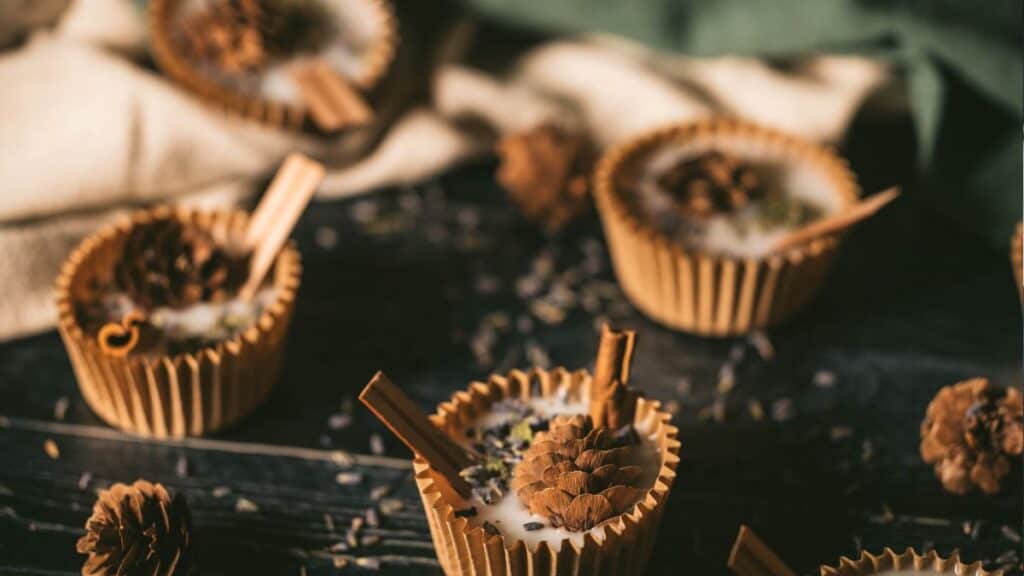 Rustic Starters How To Make Natural DIY Wax Fire Starters | The Rustic Elk