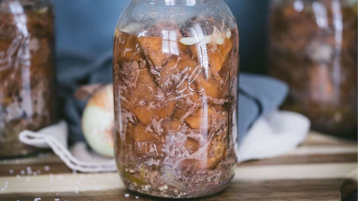 Pressure-canned Mississippi pot roast in a quart jar with beef, onions, and pepperoncini peppers