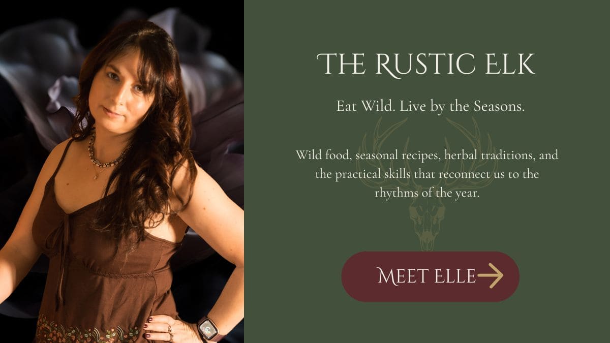 Elle from The Rustic Elk sharing wild food recipes, seasonal cooking, and traditional kitchen skills.