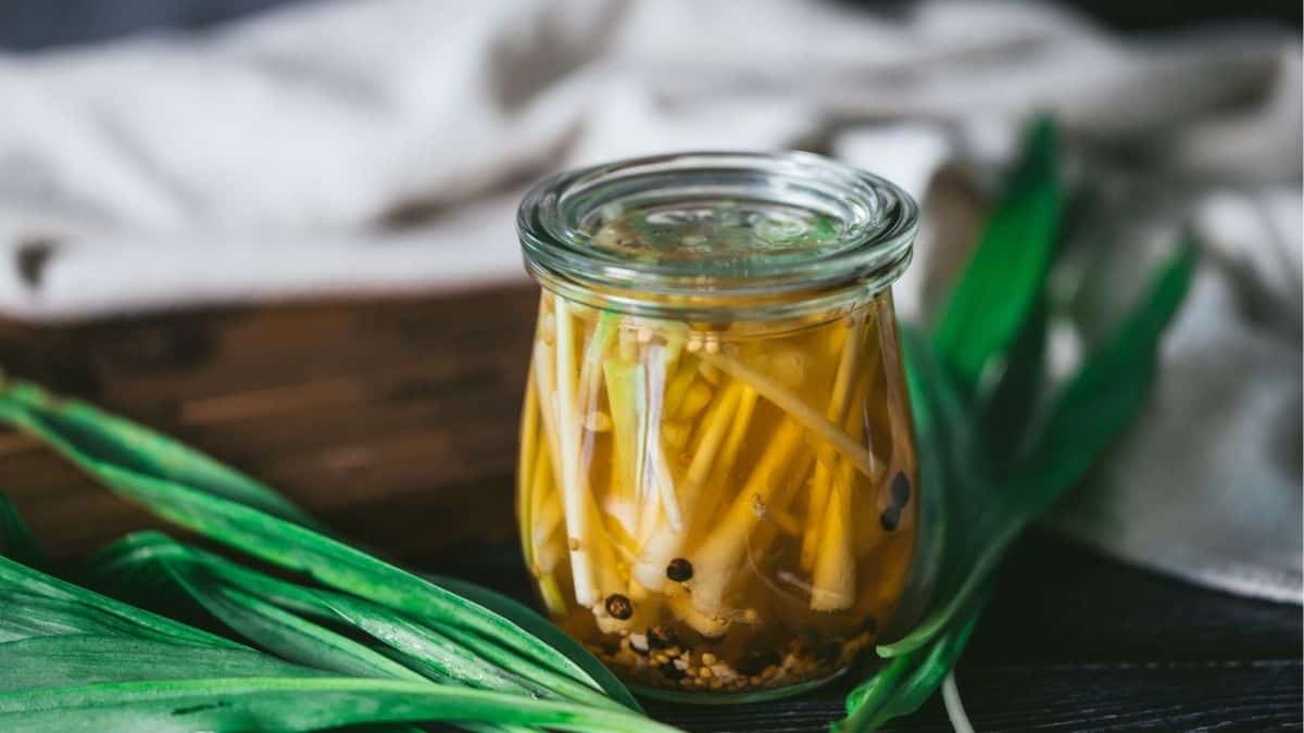 jar of homemade pickled ramps with fresh wild ramps on a dark wooden surface