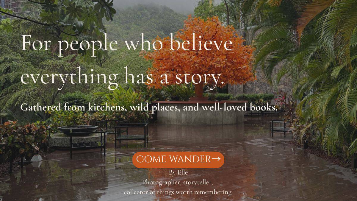 Rainy tropical courtyard at Hotel Mousai in Puerto Vallarta featuring a vibrant orange tree surrounded by lush jungle foliage.