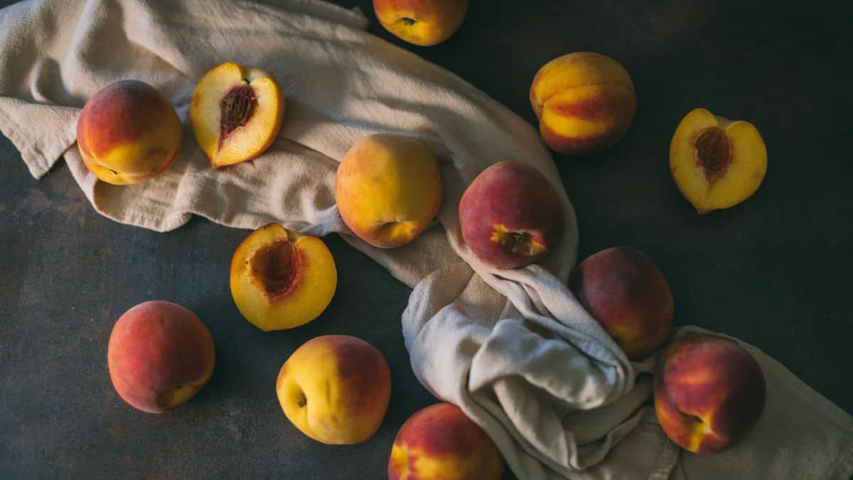 Fresh ripe yellow peaches on a linen cloth, including halved peaches showing the pits, ready for homemade peach pie filling and canning.